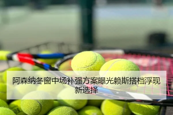 阿森纳冬窗中场补强方案曝光赖斯搭档浮现新选择